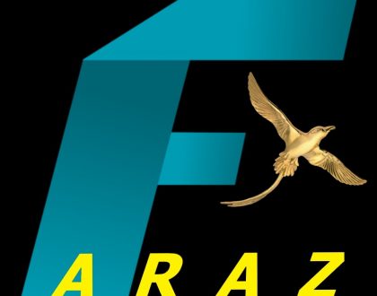 چرا هزینه‌های هنگفت؟!؟